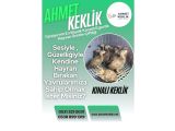 KINALI KEKLİK YAVRUSU