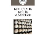 KINALI, BEYAZ, ALBİNO, SİLVER KEKLİK YUMURTASI