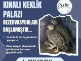 KEKLİK YAVRUSU BULUNMAKTADIR