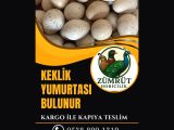 KEKLİK YUMURTASI MEVCUTTUR