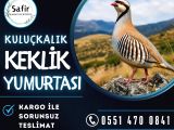 KEKLİK YUMURTASI BULUNMAKTADIR